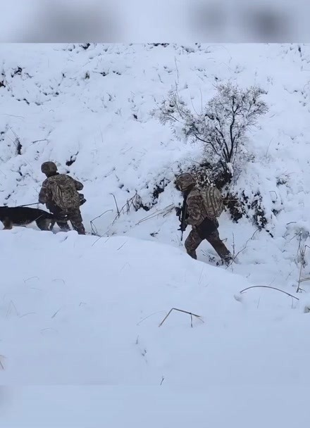 无惧风雪 边防官兵带军犬踏雪巡逻