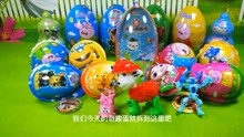 奇趣蛋乐园 第23集 猪猪侠海底小纵队奇趣蛋里的斑点狗玩具
