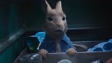 《比得兔2》垃圾桶打地洞兔子 比得兔认识有趣大叔兔