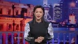 张艺谋曾导演的《长城》备受争议，金星一番评价，很客观丨金星秀