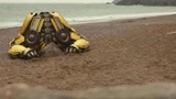《大黄蜂》女孩：大黄蜂头埋沙滩里，也太可爱了吧，都循环十遍了