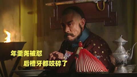 Watch the latest 雍正王朝175：范时捷硬刚年羹尧，胆子太肥了
