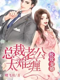 娇妻入怀：总裁老公太难缠