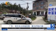 广西:楼顶违法种植罂栗 警方铲除21株
