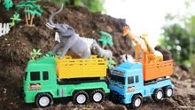 动物卡车运输动物到家园
