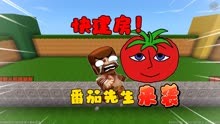 迷你周年庆：快建房子！番茄先生来袭！
