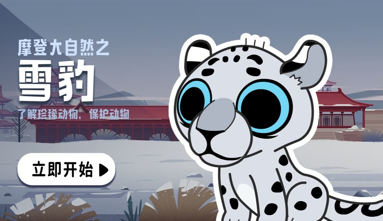 摩登大自然 第19集 雪豹