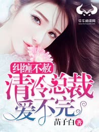 纠缠不赦：清冷总裁爱不完