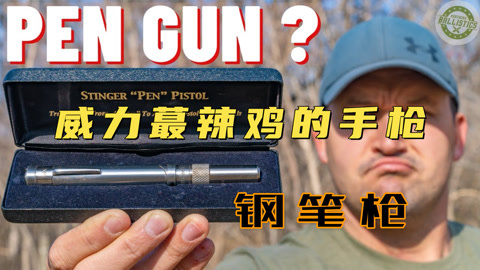 造型独特的特种钢笔枪，橡胶玩具都打不穿，实在太辣鸡了。