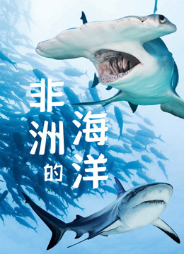 非洲的海洋