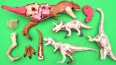 一起组装各种恐龙玩具