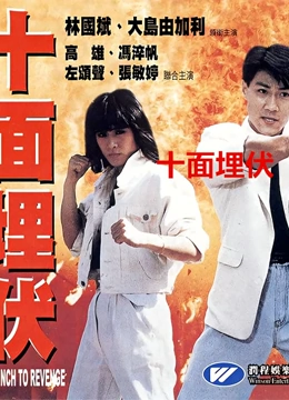 十面埋伏（1989）}