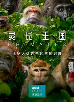 灵长王国 中文版}
