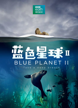 蓝色星球2普通话版