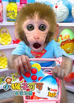 小猴子可可生活习惯