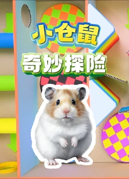 小仓鼠奇妙探险