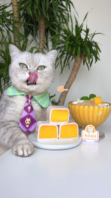猫王:用芒果做的肠粉你吃过吗?
