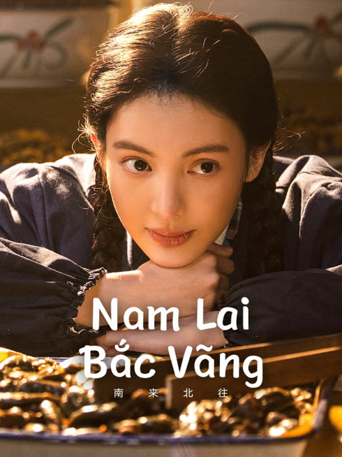 Xem Nam Lai Bắc Vãng (Vào Nam Ra Bắc) Vietsub Thuyết minh