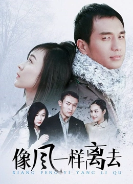 像风一样离去
