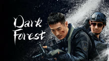  Dark Forest (2024) Legendas em português Dublagem em chinês