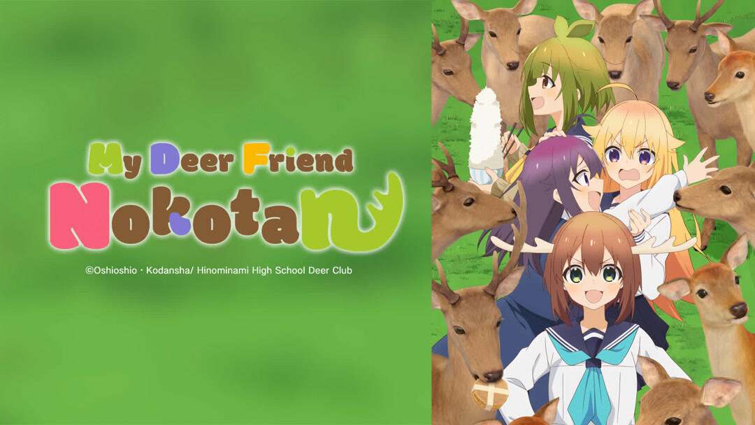 온라인에서 시 My Deer Friend Nokotan 1화 자막 언어 – iQIYI | iQ.com My Deer Friend Nokotan 1화-앱을 다운로드하여 지금... 