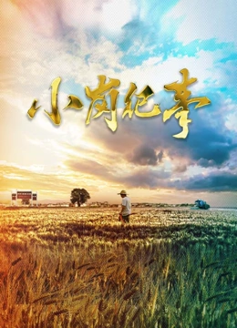 小岗纪事 第一季}