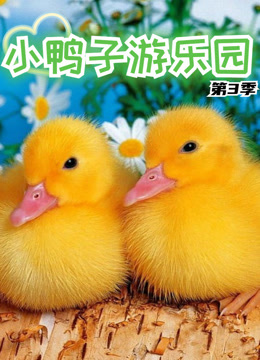 小鸭子游乐园第三季