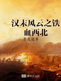 汉末风云之铁血西北
