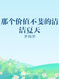 那个价值不斐的清洁夏天
