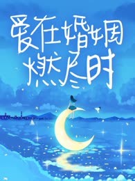 爱在婚姻燃尽时