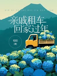 亲戚租车回家过年