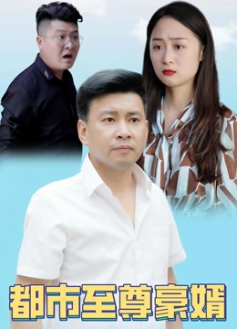 都市至尊豪婿