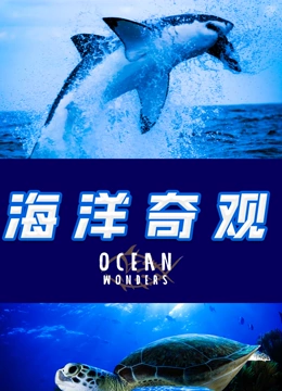 海报背景