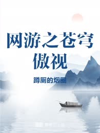 网游之苍穹傲视
