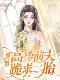 离婚夜高冷前夫跪求二胎