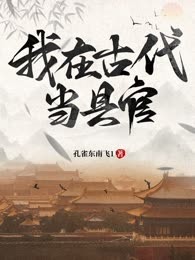 我在古代当县官