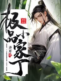 极品小家丁