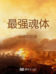 最强魂体
