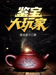 鉴宝大玩家