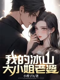 我的冰山大小姐老婆
