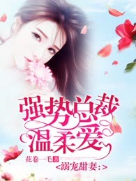 溺宠甜妻：强势总裁温柔爱