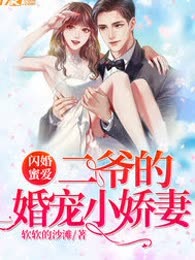 二爷的婚宠小娇妻