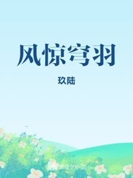 风惊穹羽
