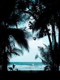 一梦浮生
