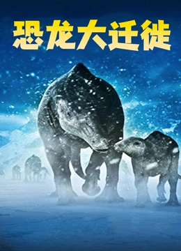 海报背景