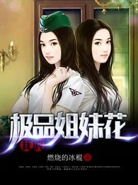 我的极品姐妹花