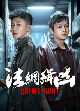 線上看 法網緝凶 (2025) 帶字幕 中文配音，國語版