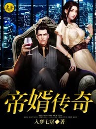 帝婿传奇