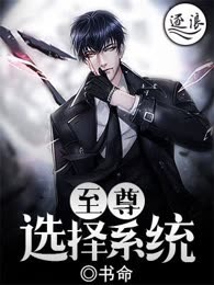 至尊选择系统
