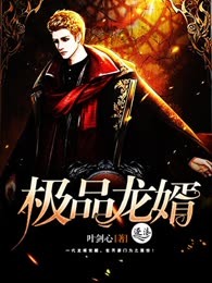 极品龙婿